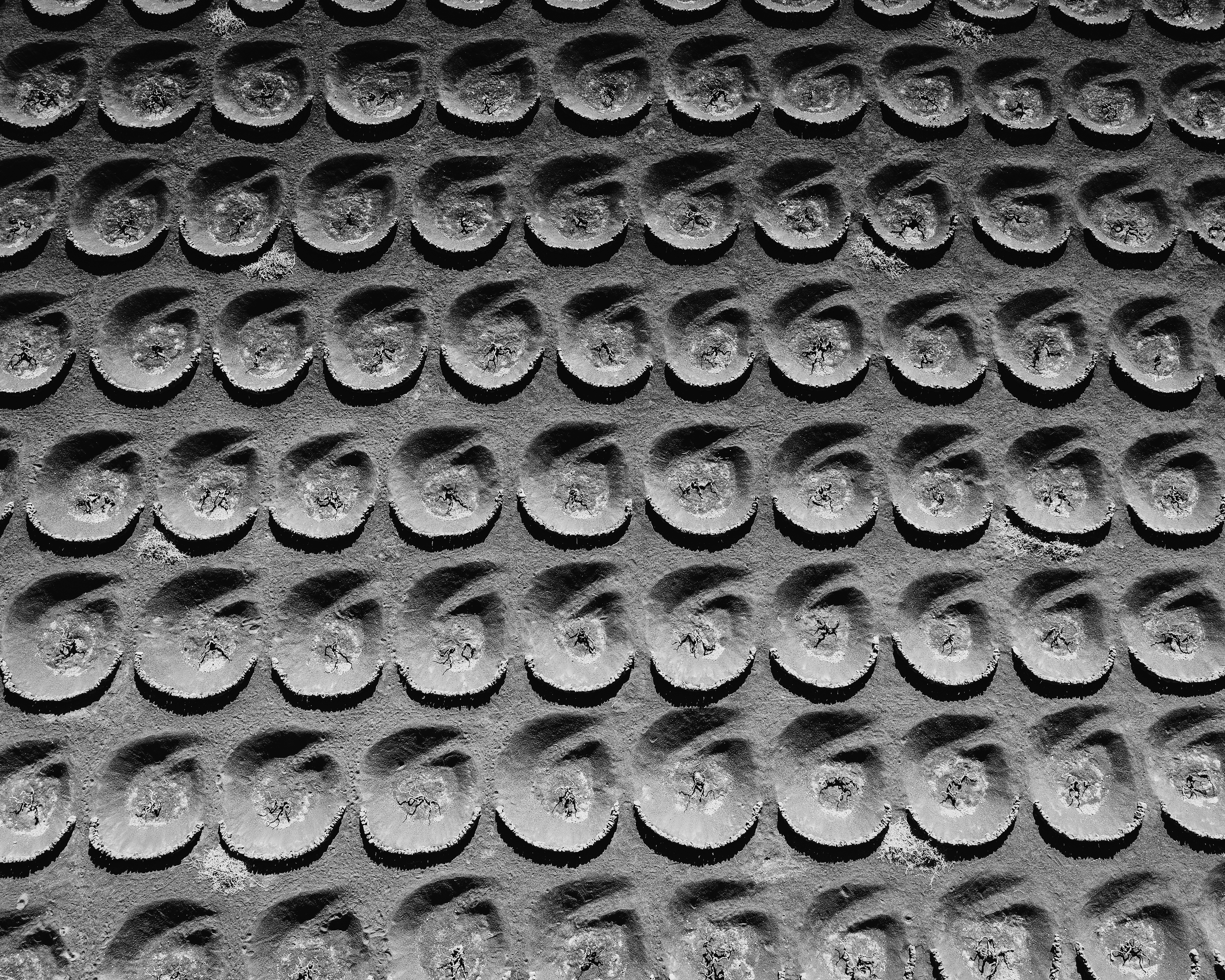 Roof Rhythm