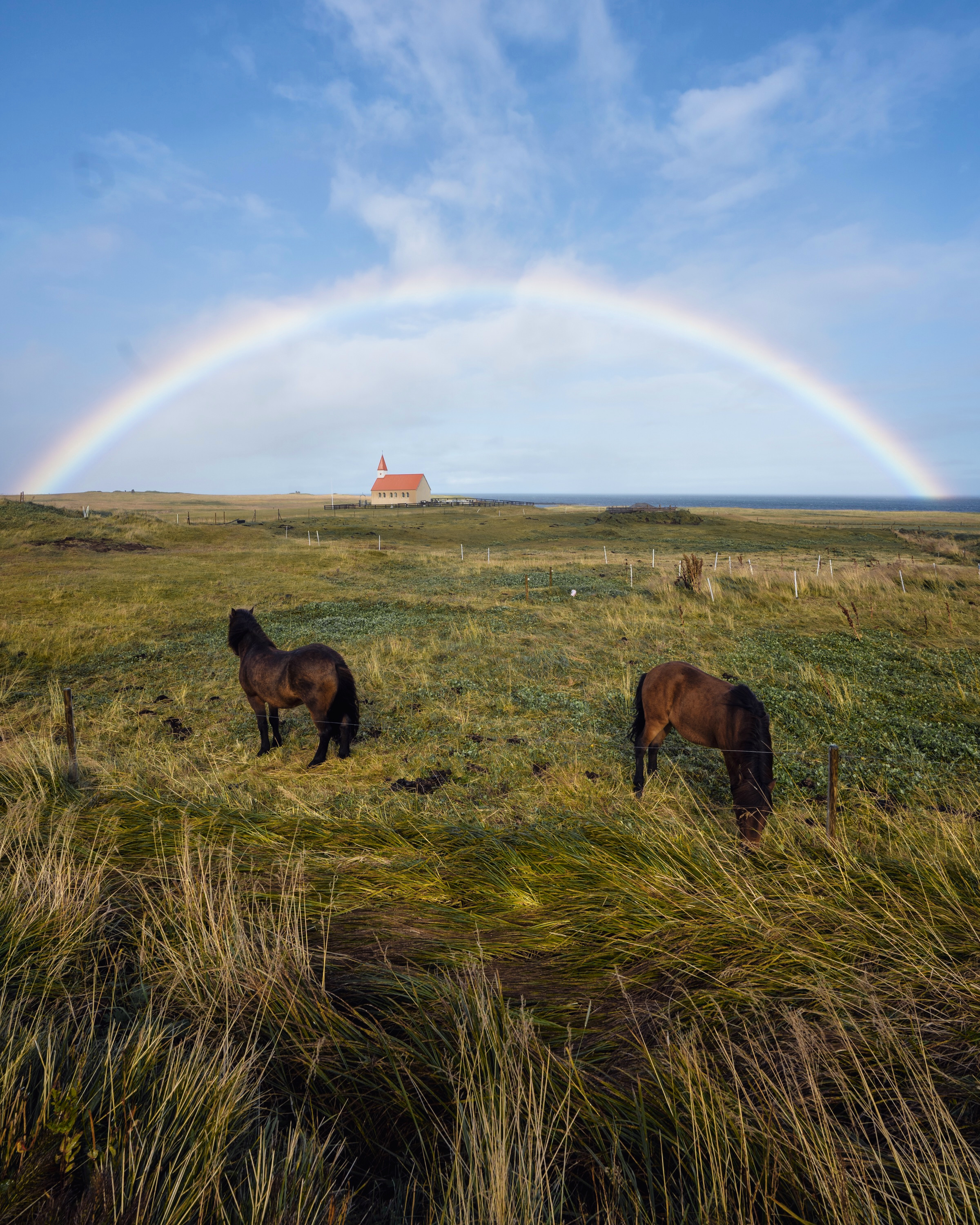 Pasture Rainbow