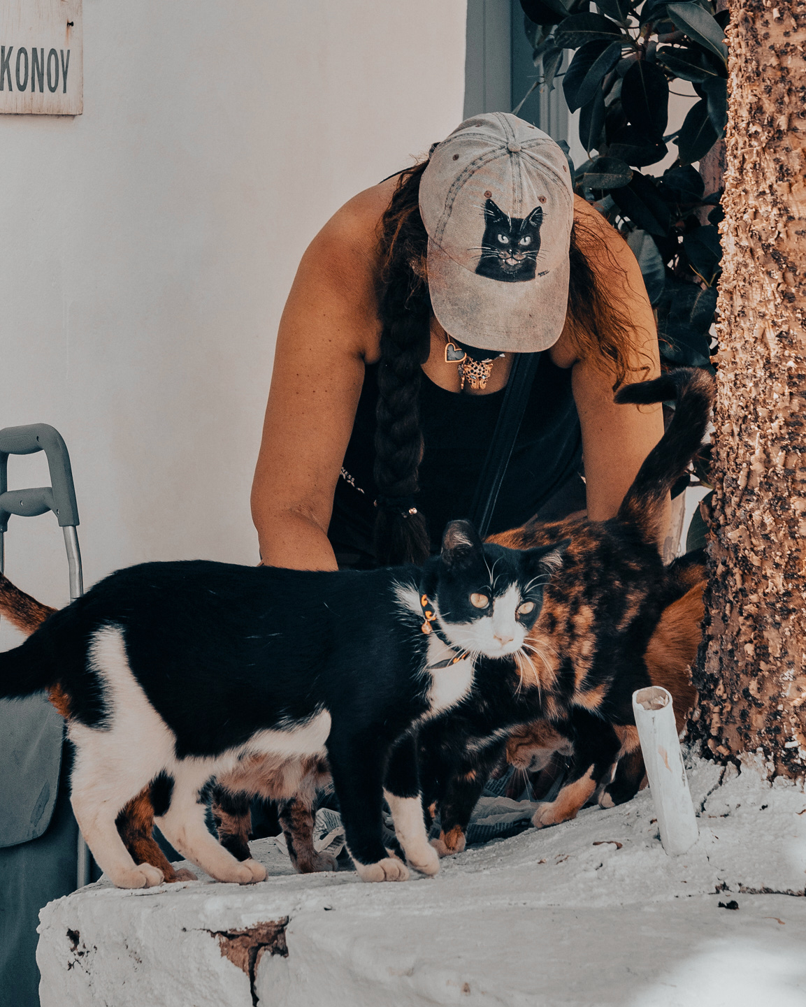 The Cat Keeper