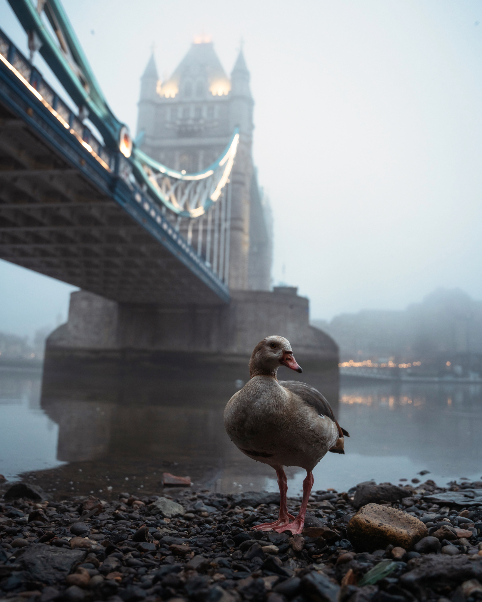 The Bridge Keeper