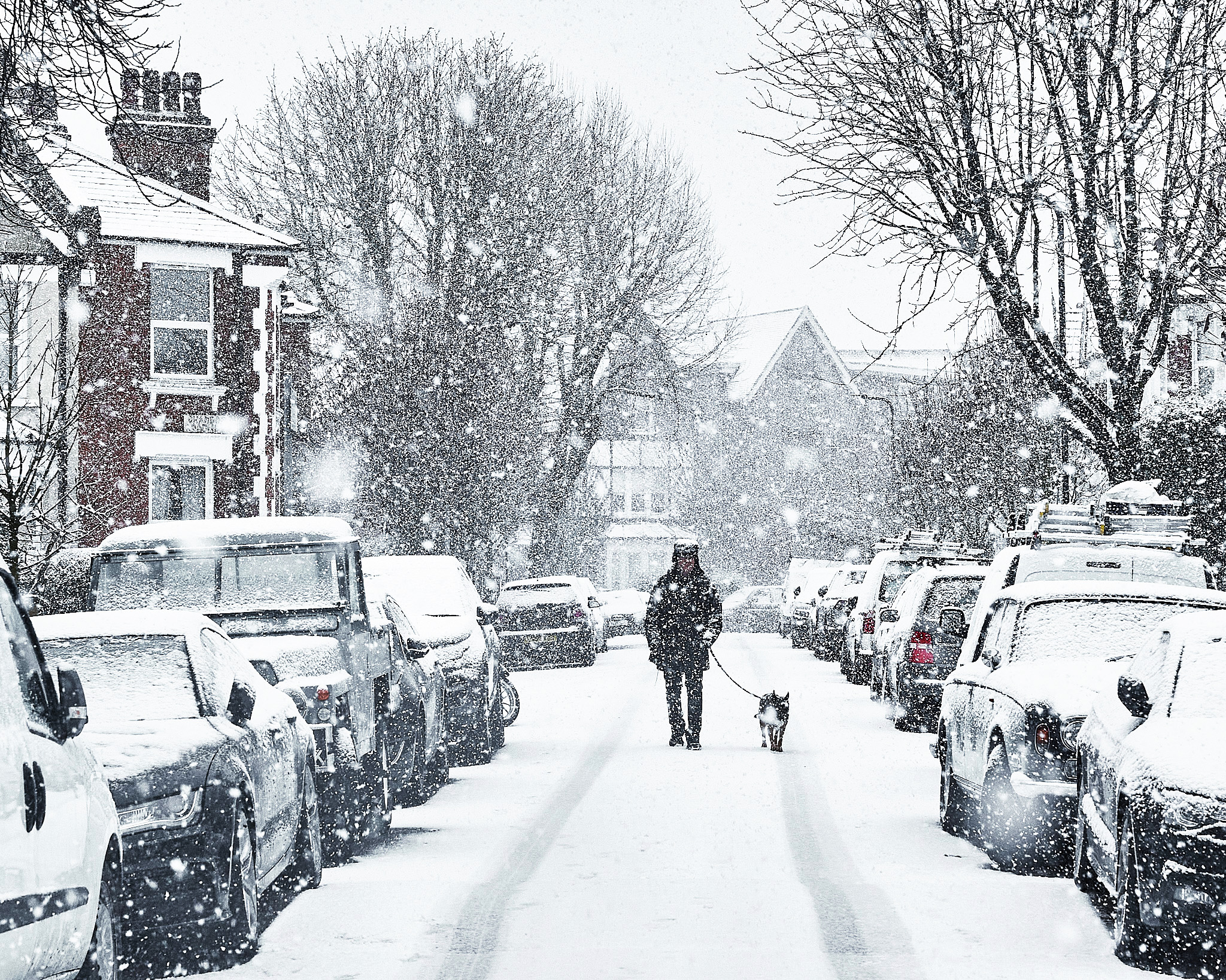 Snow Walk