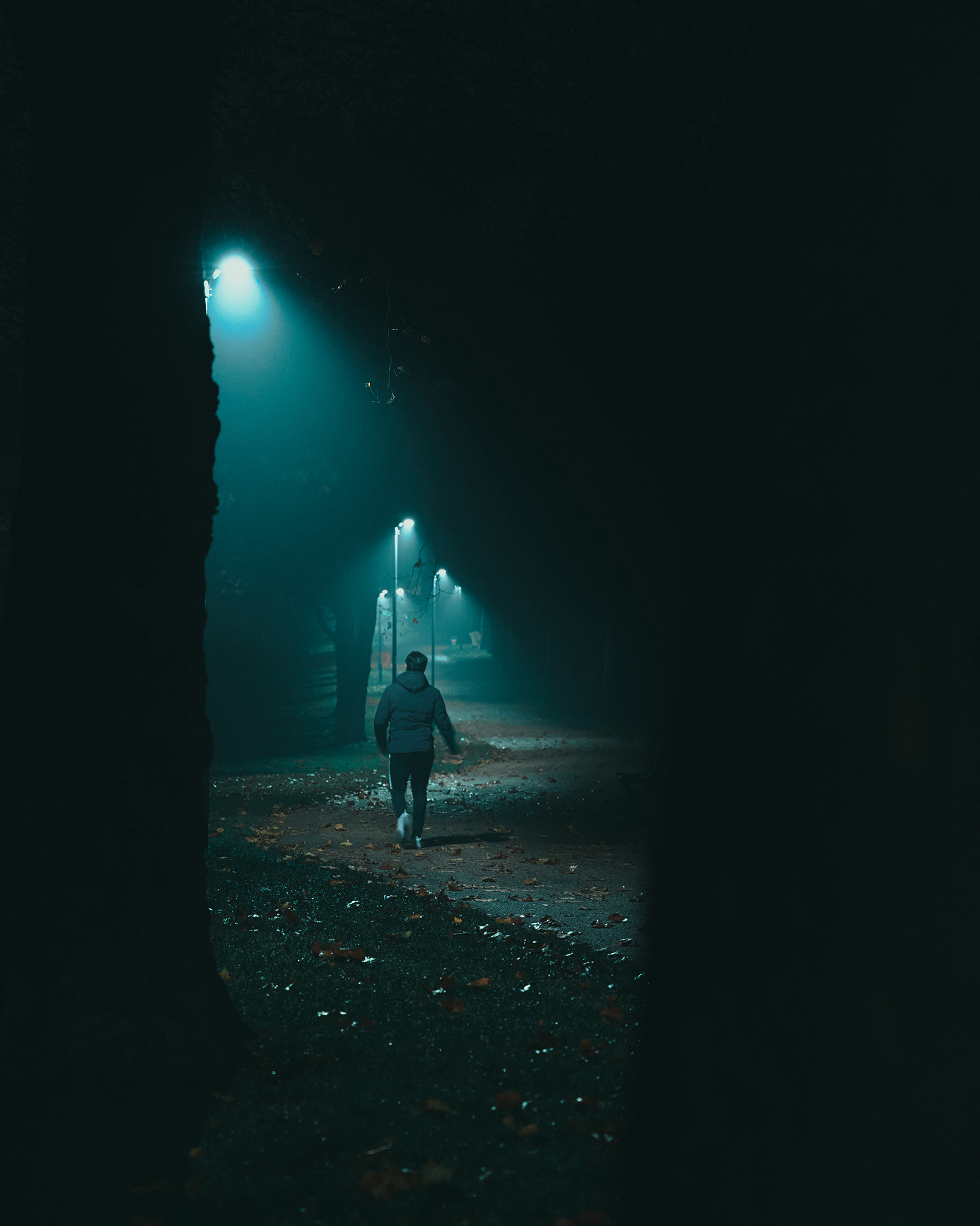 In  the woods