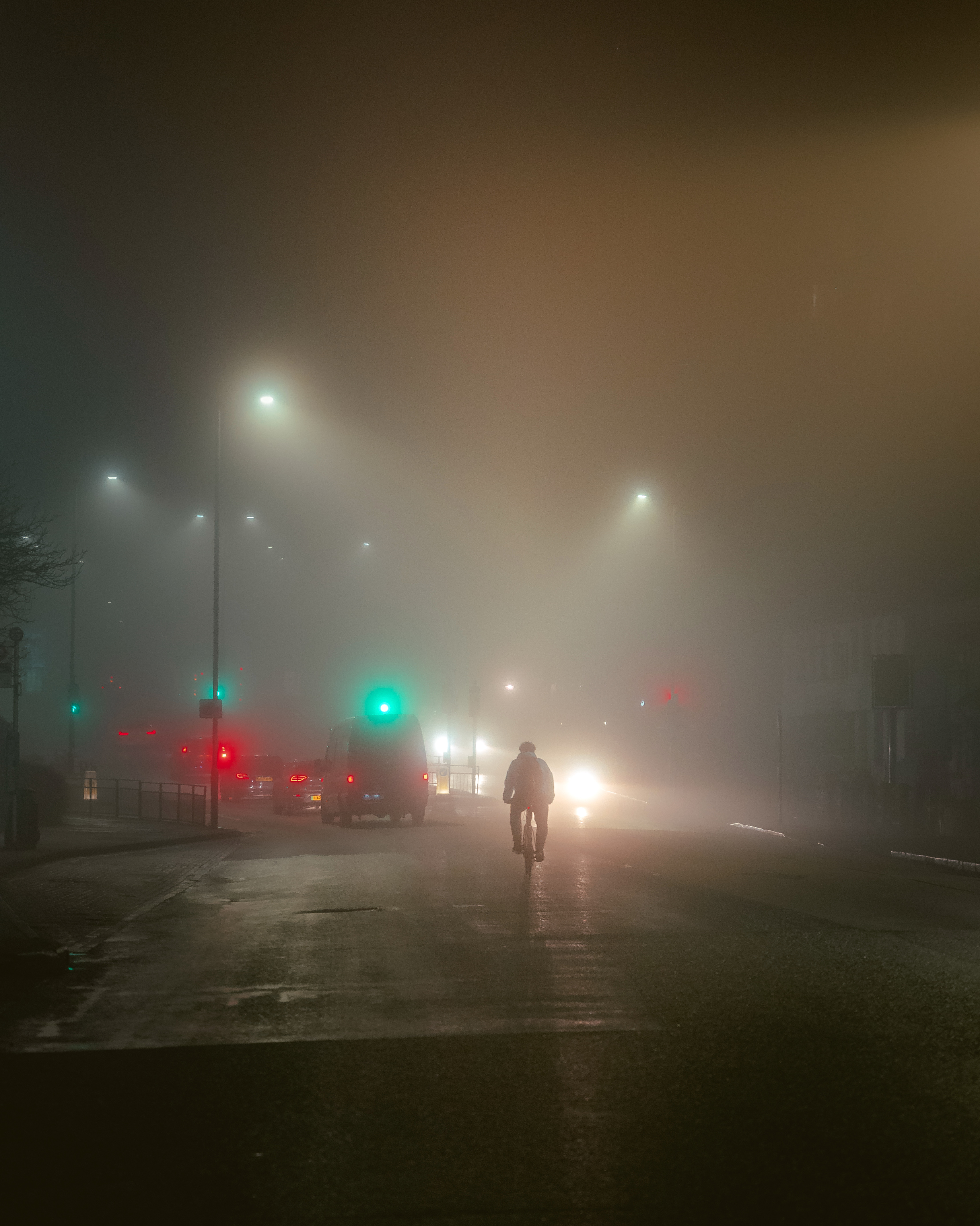 Into the Fog